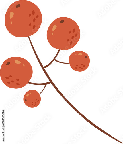 Branch of berries