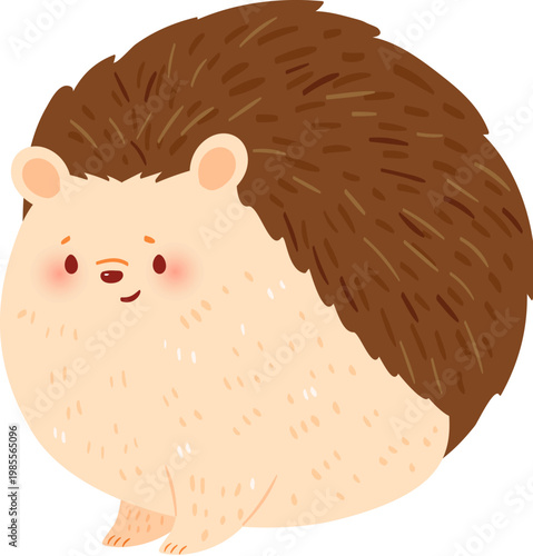 Cute hedgehog