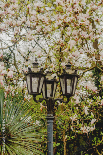 Vintage street lamp among blooming magnolia trees in spring garden, classic outdoor lighting and floral scene