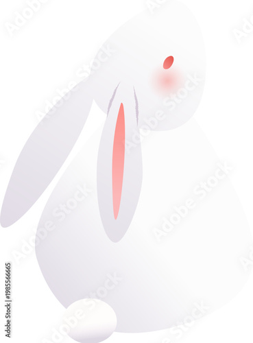 Jade rabbit looks up at the sky