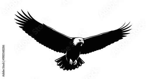 Bald Eagle in Flight Silhouette Aerial.
