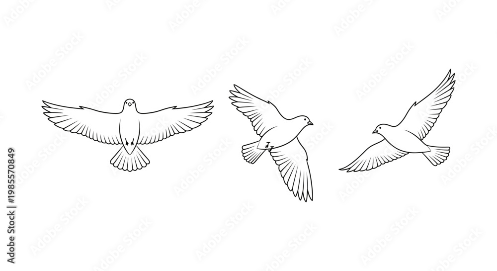 Fototapeta premium Three line art drawings of birds in flight one seen from above with wings spread wide two in profile showing wing motion symbolizing freedom migration and aviation