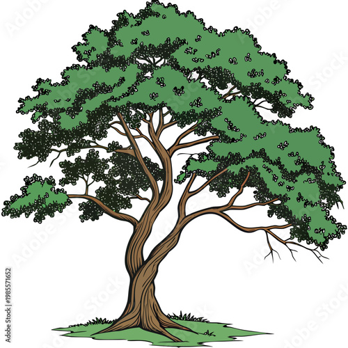 tree with green leaves
