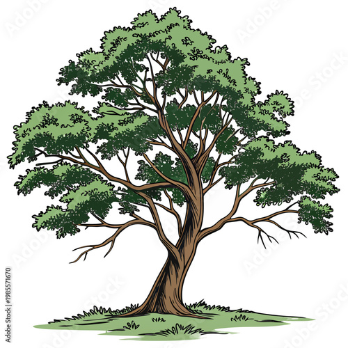 tree with green leaves