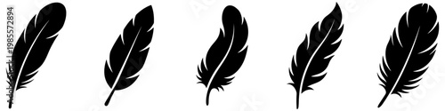 Large set of black silhouettes of feathers in various shapes, isolated on a white background. Vector illustration.