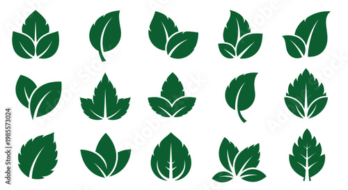 Collection of various green leaf shapes.
