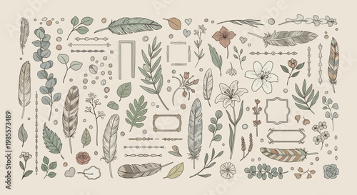 Variety of succulent plant species.