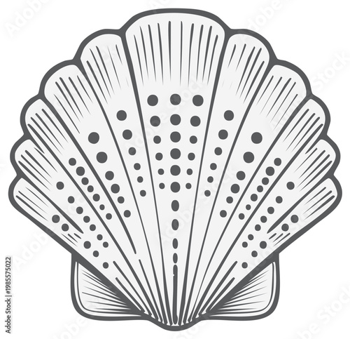 Elegant Scallop Shell Vector Line Art Illustration with Decorative Dot Pattern