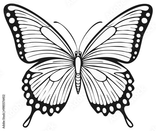 Butterfly with Patterned Wings Black and White Illustration for Coloring Pages