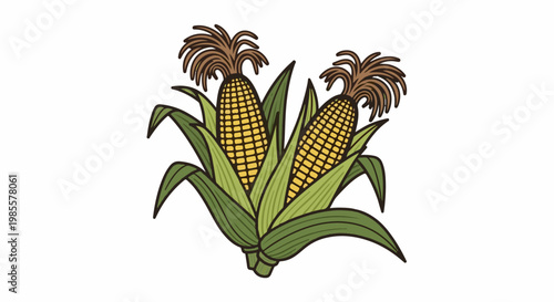 Two ripe ears of corn nestled amongst vibrant green leaves