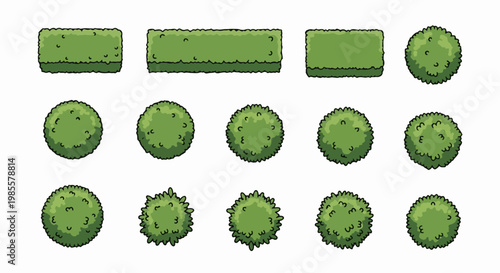 Various green bushes and shrubs in top-down view