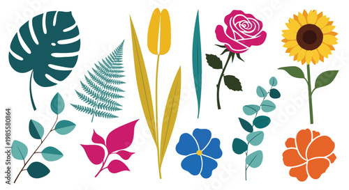 Adobe Illustrator Artwork