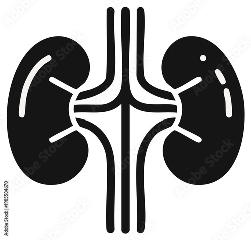 Stylized graphic representation of the human urinary system with kidneys and ureters