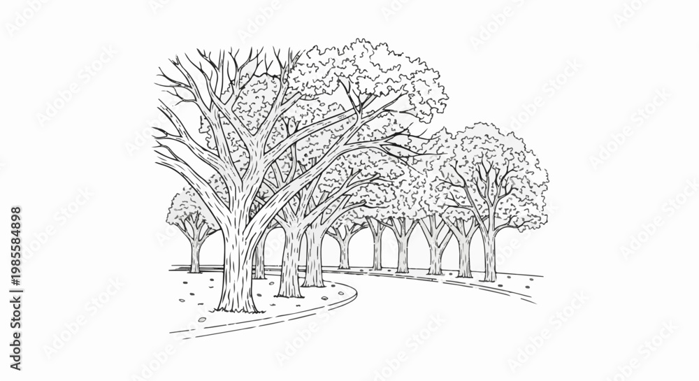 Fototapeta premium Winding path lined with mature trees, sketched in a monochromatic style