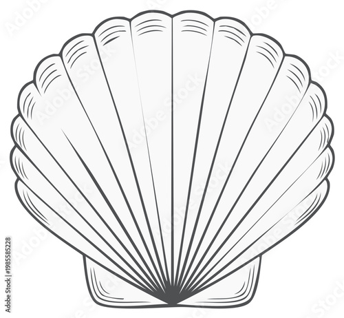 Simple Line Drawing of a Scallop Seashell