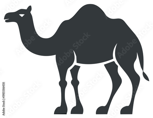 Graphic black silhouette of a one humped dromedary camel standing still side view illustration