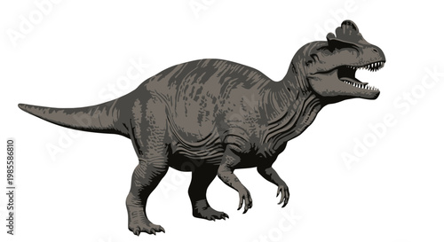 Dilophosaurus dinosaur illustration in gray sharp teeth ferocious expression bipedal stance crested head prehistoric creature isolated on white