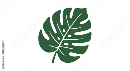 Monstera Deliciosa Leaf Illustration Green Foliage.