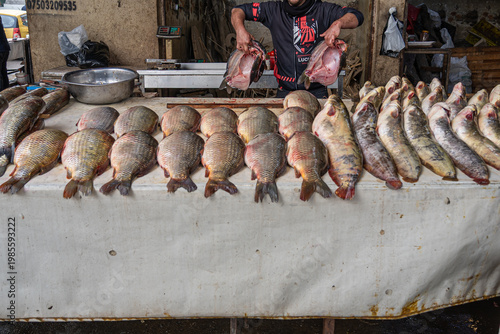 Fish market in old Mosul, Iraq