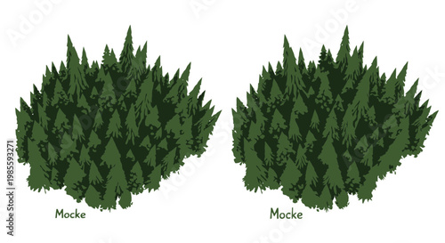 Dense cluster of evergreen trees illustration with dark green foliage sharp conical shapes and forest mocke isolated on a white backdrop