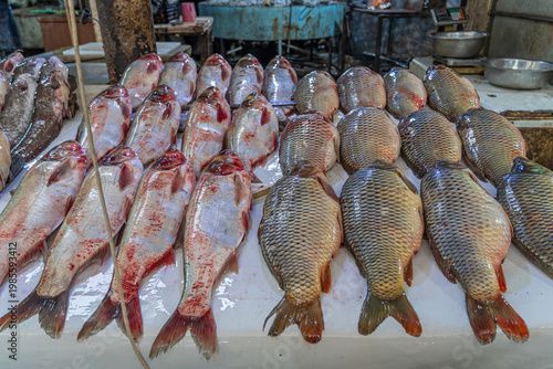 Fish market in old Mosul, Iraq