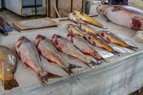 Fish market in old Mosul, Iraq