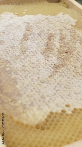 Honey frame for feeding bees in spring apiary, close-up video footage.