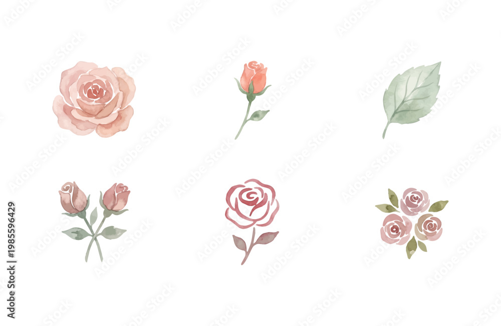 Fototapeta premium Watercolor rose flower icons set in soft pastel colors isolated on white background