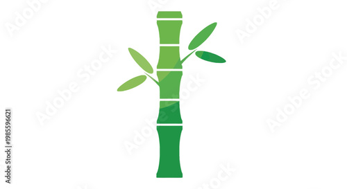 Green bamboo stalk illustration with fresh leaves in minimalist style; a natural plant graphic on white for asian designs