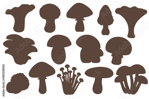 Vector set of colorful cartoon mushrooms. A collection of various types of fresh autumn forest plants with stems and caps for botany education. Seasonal natural organic products 