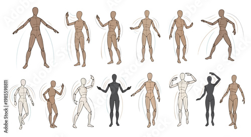 Set of 14 Human Figure Poses Vector Illustration