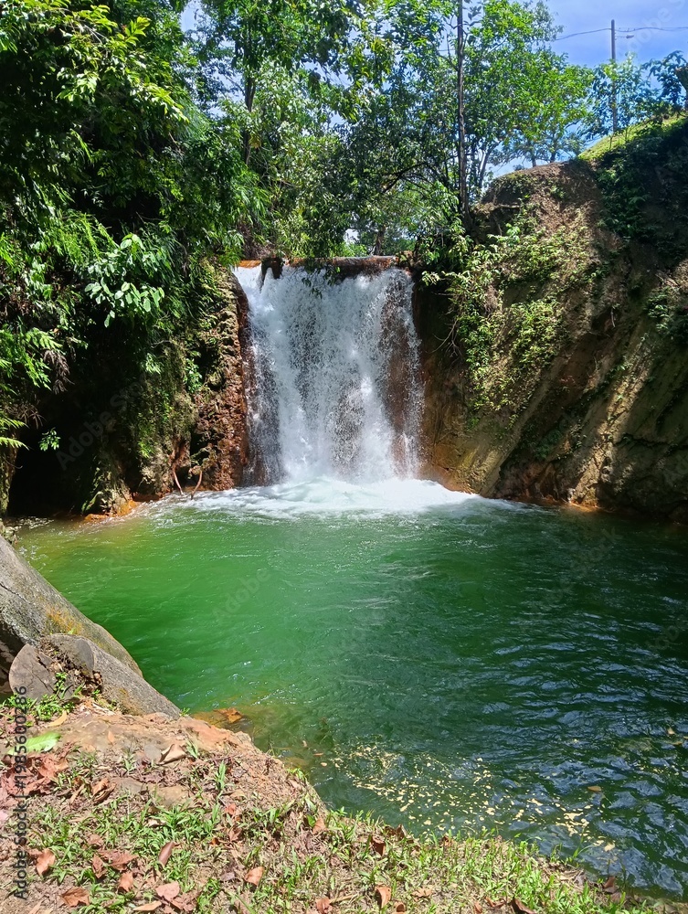 Naklejka premium waterfall in the forest