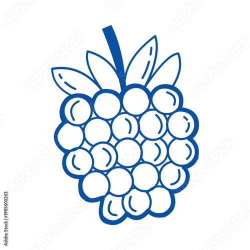 Raspberry fruit vector blue line art doodle berry icon for summer branding