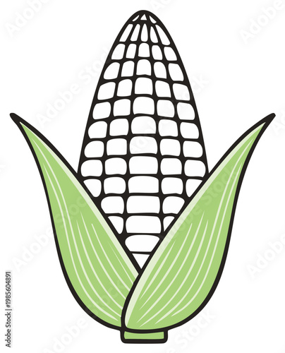 Fresh Sweet Corn Cob with Green Husks Vector Illustration