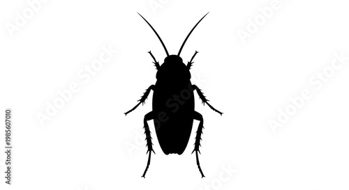Black Cockroach Silhouette Isolated on White.