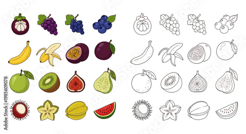 Vibrant Collection of Fresh Fruits, Including Bananas, Grapes, Berries, Mangosteens, Kiwis, and Watermelon, Presented in Both Color and Outline Styles