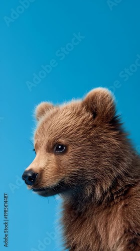 Close-up portrait of a brown bear cub against a solid blue background with a shallow depth of field.