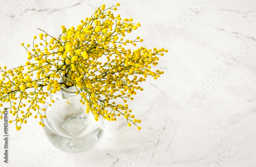 mimosa in glass vase on white background top view