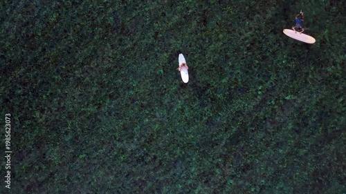 Surfers waiting on surfboards in clear ocean water. Best aerial view drone