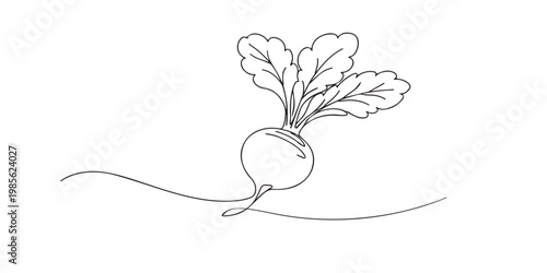 single line beetroot.continuous line drawing of fresh beetroot with leaves.organic food and healthy nutrition concept.one line vector illustration.