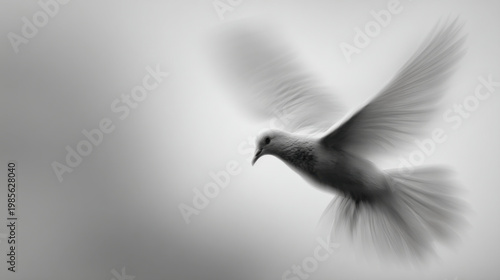 Soft focus bird flying dove motion blur white background minimal art abstract bird wing detail ethereal mood peaceful symbol graceful flight soft focus bird flight with motion blur abstract wing