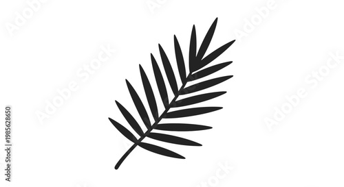 Black Silhouette of a Palm Frond.