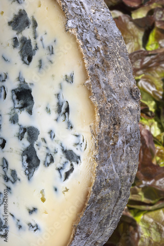 Macro shot of a slice of Fourme d'Ambert cheese showing blue veins, with lettuce in the background
