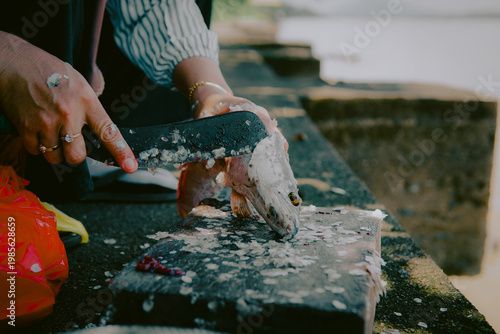 Canvas Print Person cleaning fresh fish with knife on outdoor stone surface