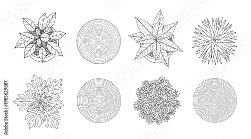 Top view of various indoor plants and trees in pots for architectural design