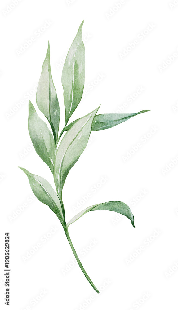 Fototapeta premium Watercolor branch with leaves