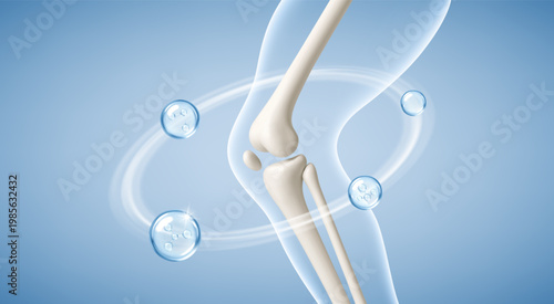 Healthy knee joint with collagen and hyaluronic acid molecules. Joint lubrication and mobility concept. Realistic medical vector illustration