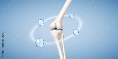 Healthy knee joint with collagen and hyaluronic acid molecules. Joint lubrication and mobility concept. Realistic medical vector illustration