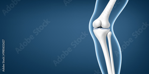 Healthy human knee joint anatomy on blue background. Orthopedic medical concept. Realistic vector illustration