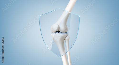 Healthy knee joint protected by transparent shield. Orthopedic joint care and prevention concept. Realistic vector illustration